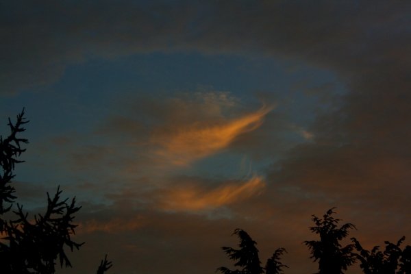 Fluegelwolken - (c) M Brunnert.jpg